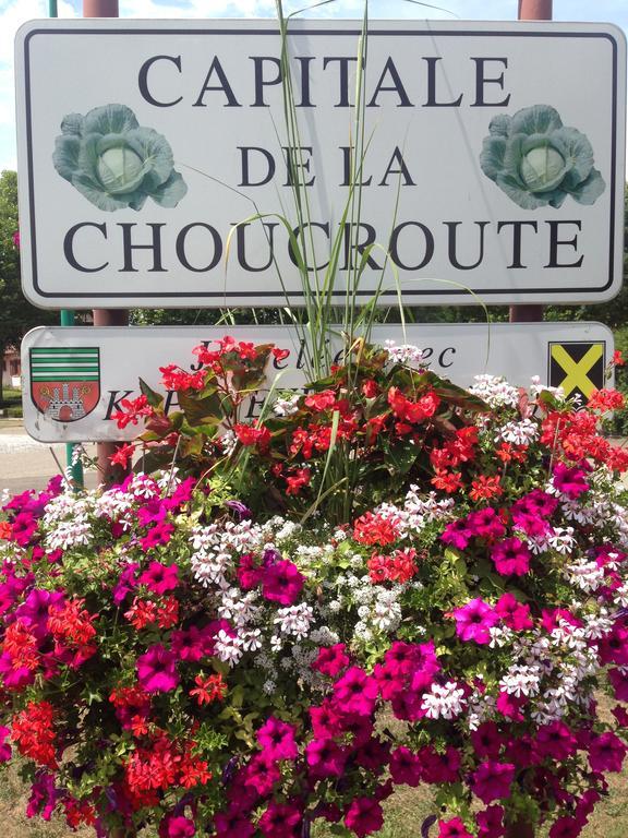 Krautergersheim Eden Des Choux酒店 外观 照片