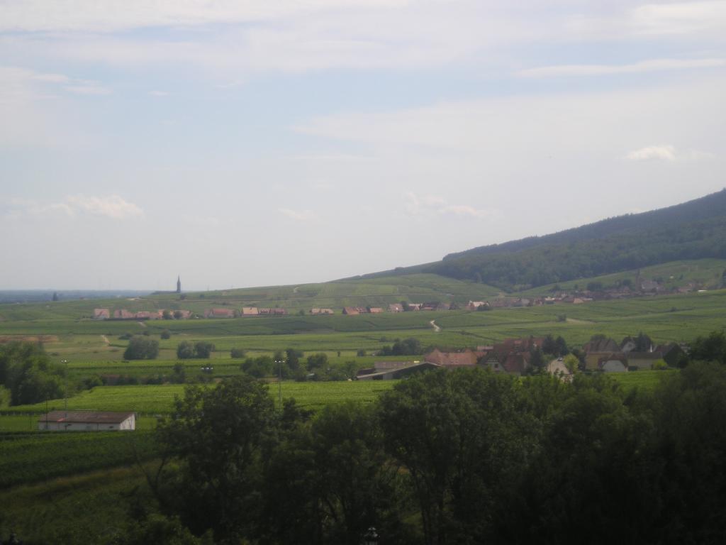 Krautergersheim Eden Des Choux酒店 外观 照片