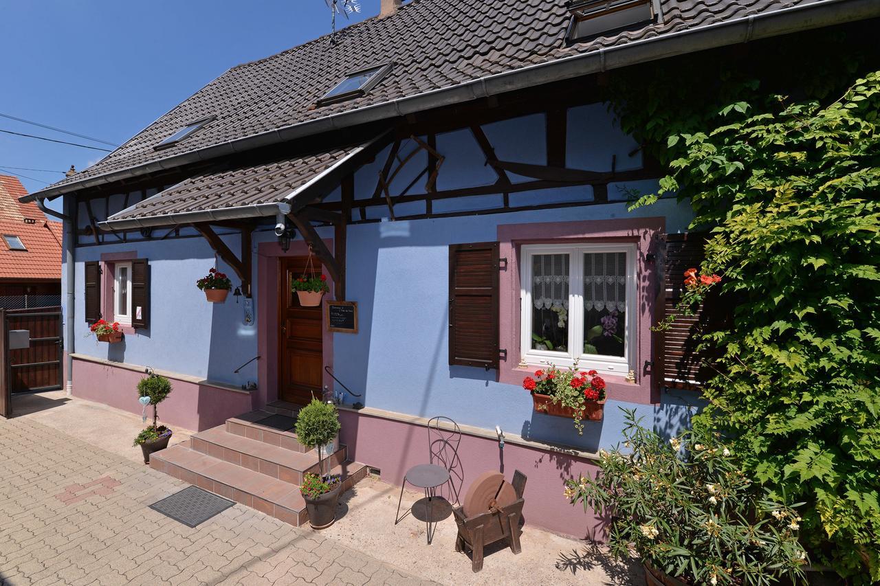 Krautergersheim Eden Des Choux酒店 外观 照片