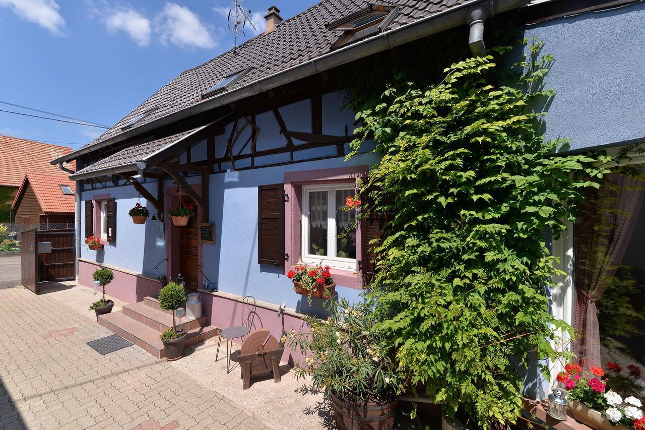 Krautergersheim Eden Des Choux酒店 外观 照片