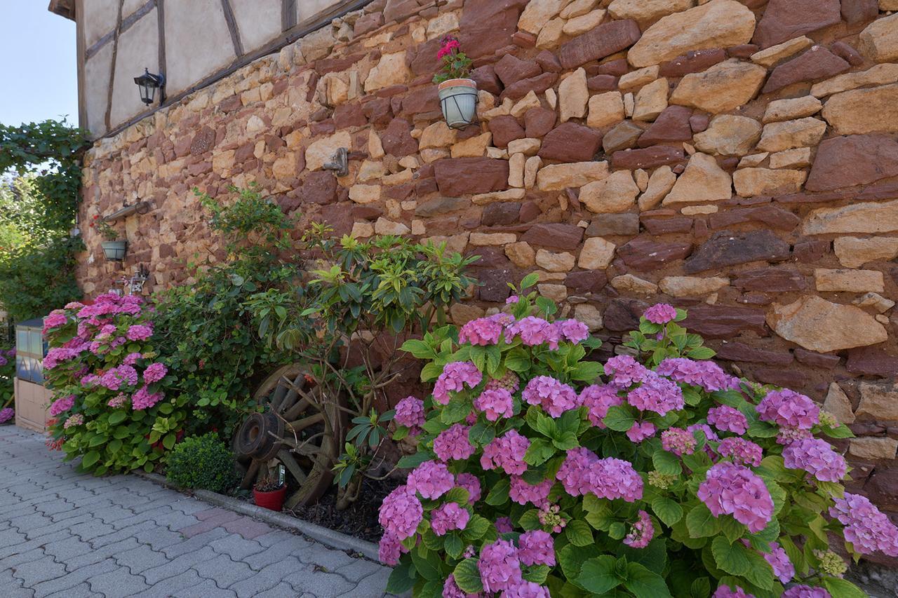 Krautergersheim Eden Des Choux酒店 外观 照片